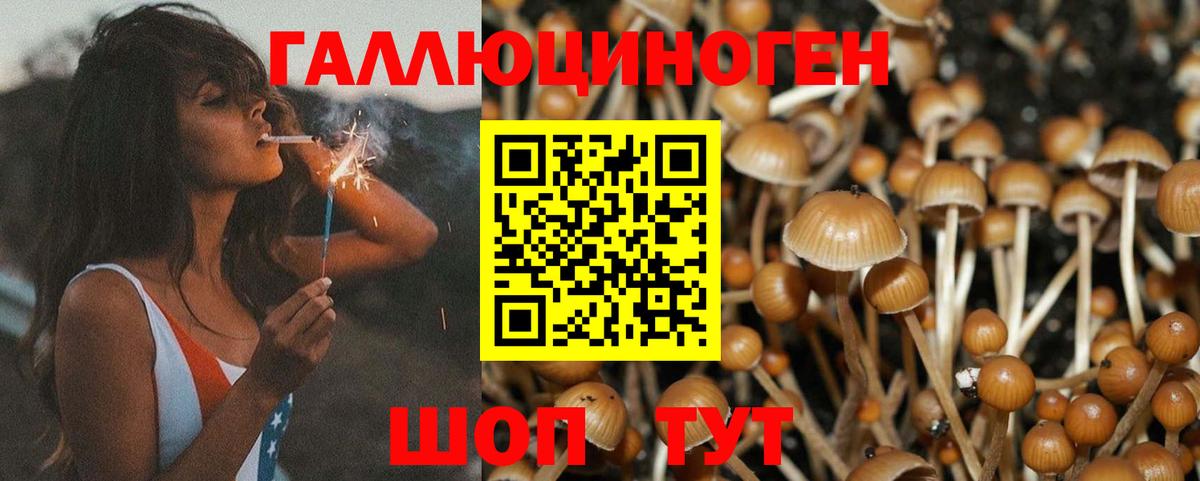 Магнитогорск  Галлюциногенные грибы мицелий  даркнет сайт  Галлюциногенные грибы Cubensis  Вход с VPN 